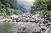00483_thumb.jpg
