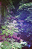 00552_thumb.jpg