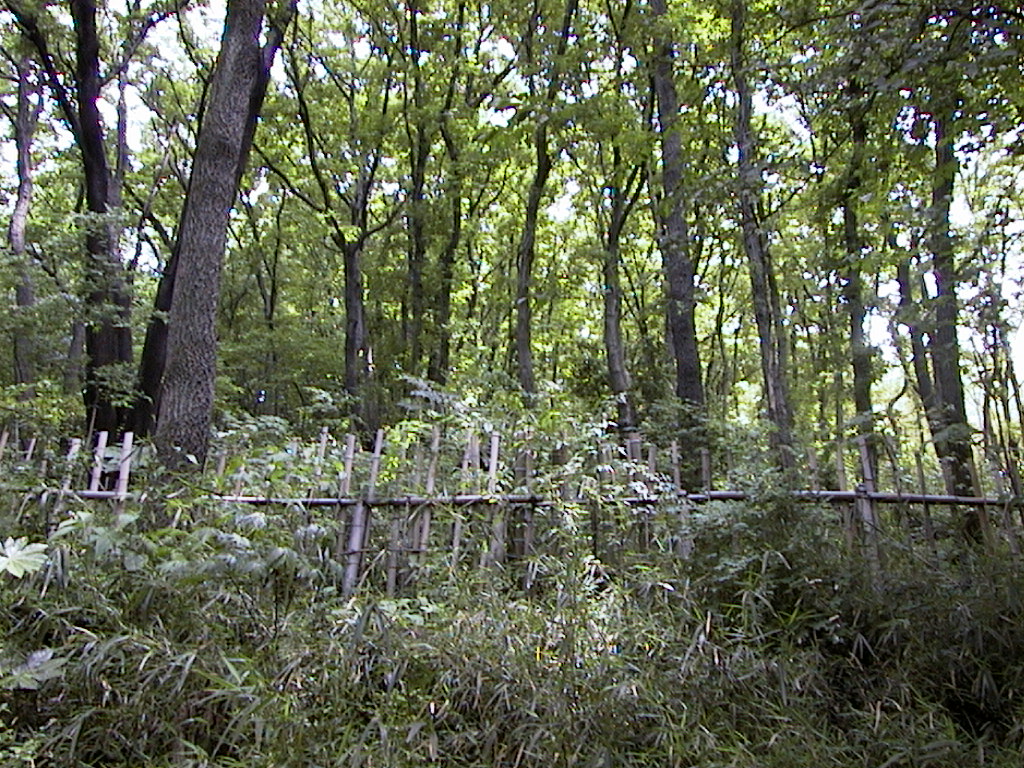 AUT_0040.JPG