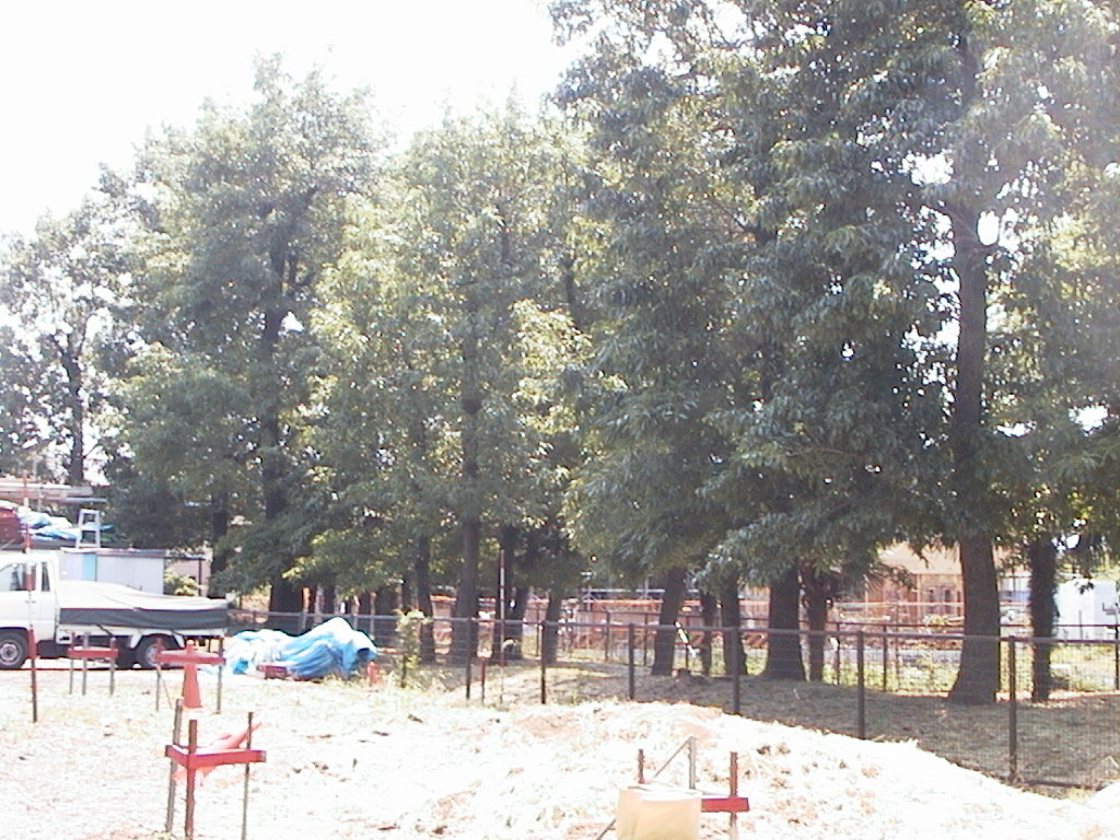 AUT_0095.JPG